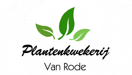 Zie insecten Tien Verouderd Plantenkwekerij Van Rode | Kwekerij van éénjarige planten. Open voor  particulier als handelaar.